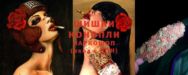 прущие крисы Абаза