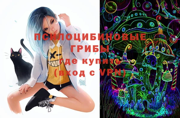 прущие крисы Абаза