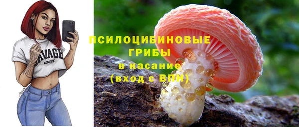 индика Абдулино