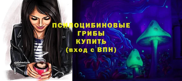 прущие крисы Абаза
