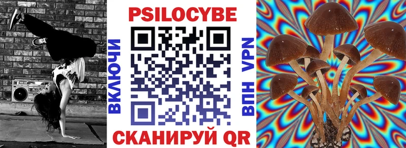 hydra tor  Дербент  Псилоцибиновые грибы Cubensis 