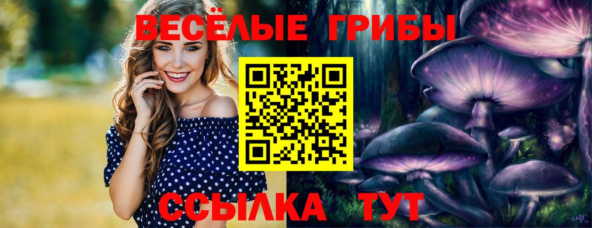 Псилоцибиновые грибы Magic Shrooms Дербент